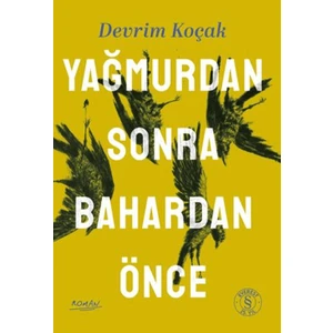 Yağmurdan Sonra Bahardan Önce - Devrim Koçak