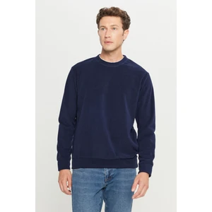 Standart Fit Normal Kesim Bisiklet Yaka Polar