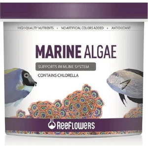 Reeflowers Marine Algae 100 gr Açık Balık Yemi 