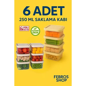 6'lı 250ML Dikdörtgen Derin Dondurucu Saklama Kabı Set Buzluk Mikrodalga Gıda Krem Plastik Kap