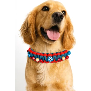 She Sells El Yapımı Dayanıklı ve Sağlıklı Çok Renkli Paracord Nazar Boncuklu Kedi & Köpek Kolyesi