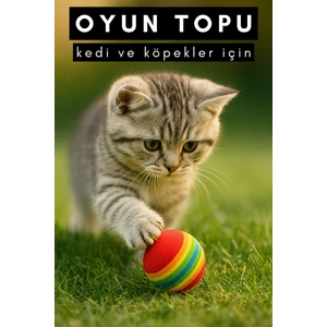 Kedi ve Köpek Oyun Topu Renkli - 2 Adet Casapetra