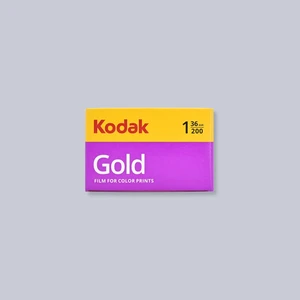 Gold 200 Analog Film