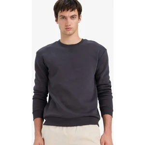 Regular Fit Bisiklet Yaka Basic Düz Kalın Sweatshirt T3777AZ25AU