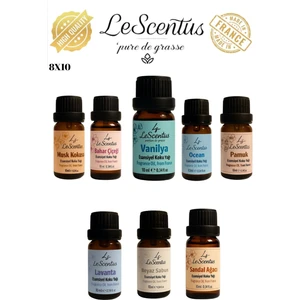 Favori Set 8'li Esansiyel Uçucu Koku Yağı Buhurdanlık Yağı Difüzör Hobi Esansı Oda Ortam Kokusu 8X10ML