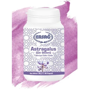 Astragalus (Çin Geveni)