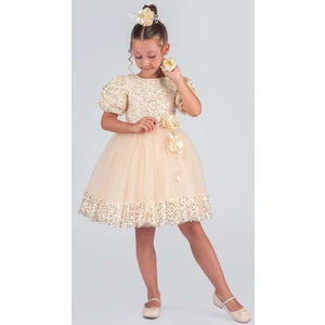 Kız Çocuk Etek Ucu Pullu Venna Abiye Elbise M00761