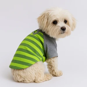 Kedi ve Köpek Kıyafeti & Elbisesi - Yeşil ve Gri T-Shirt