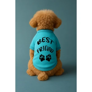 Kedi ve Köpek Kıyafeti & Elbisesi - Mavi Sweatshirt Best Friend