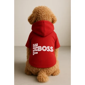 Kapişonlu Sweatshirt Köpek ve Kedi Kıyafeti - Kırmızı The Boss