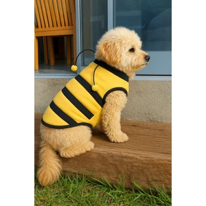 Yeni Sezon Köpek ve Kedi Kıyafeti - Arı Maya