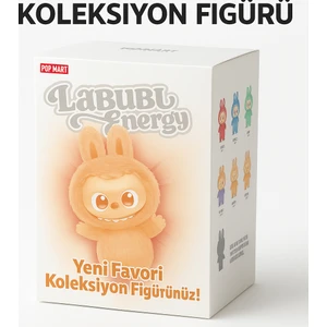 Pop Mart Koleksiyon Oyuncak Sürpriz Figür Hediyelik