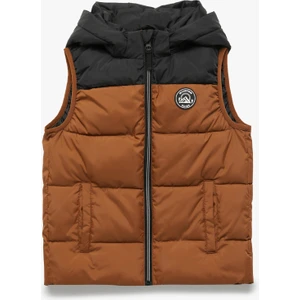 Renk Bloklu Cepli Etiket Detaylı Fermuarlı Kapşonlu Kolsuz Şişme Yelek