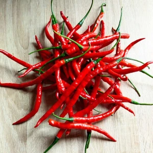 Cayenne Kırmızı Kıl Biber Tohumu Chili Pepper Çok Acı