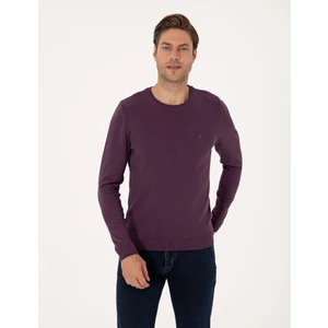 Pierre Cardin Erkek Mor Slim Fit Bisiklet Yaka Basic Triko Kazak 50314192-VR038