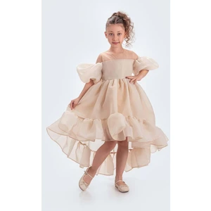 Arisvi Kız Çocuk Abiye M00738