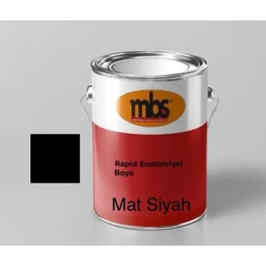 Endüstriyel Rapid Boya Mat Siyah