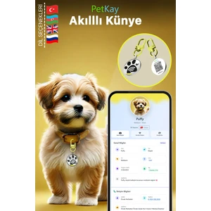 Köpekler Için Akıllı Künye, Nfc Dijital Isimlik Ve Tasma Künyesi Qr Kod Künye Paslanmaz Çelik sarı isimli Köpek Tasması, Köpek isimlik