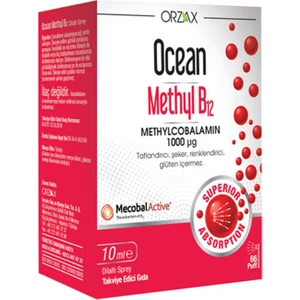 Ocean Methyl B12 Sprey 1000 mg 10 ml