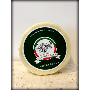 Manda Mozzerella Peynir