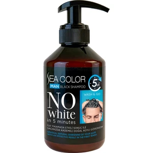 Sea Color Man Black Erkek Şampuan 250 ml