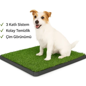 Yavru Köpek Tuvalet Eğitim Pedi – 3 Katlı Çim Görünümlü Pet Tuvaleti