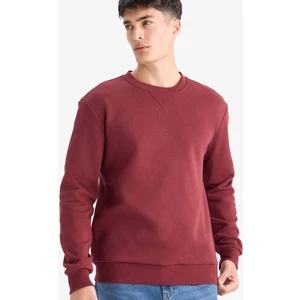 Regular Fit Bisiklet Yaka Basic Düz Kalın Sweatshirt T3777AZ25AU