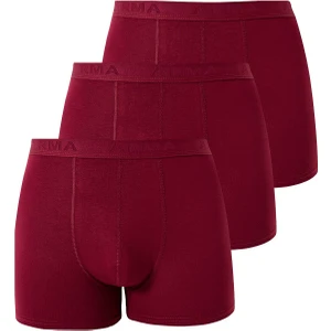 Arma Yıldız Erkek Bordo Bambu Boxer 3'lü Paket