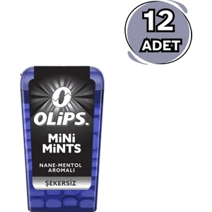 Mini Mints Şekersiz Nane & Mentol Aromalı Şekerleme 12,5 gr - 12 Adet