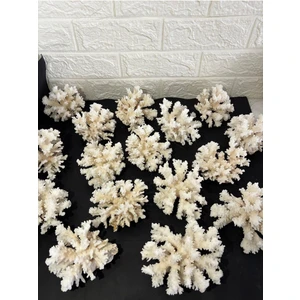 Mercan Doğaltaş Boy 3