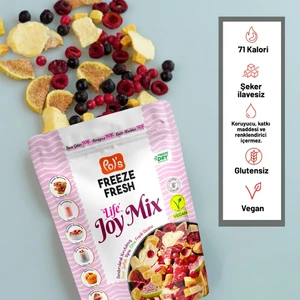 Freeze Fresh Dondurularak Kurutulmuş Joy Mix 20 gr