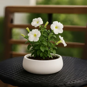 Nevhan Sanat Lümin Modern Beyaz Dekoratif Kase – El Yapımı Minimalist Tasarım