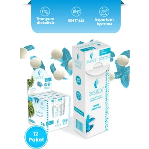 Nane Aromalı Damla Sakızlı Şekersiz Sakız 20 gr X12