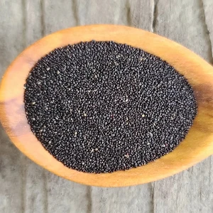 Yerli Semizotu Tohumu, 1 Gram