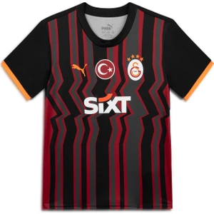 Galatasaray S.k. 24/25 Genç Üçüncü Forma