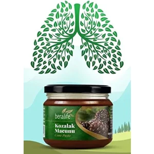 Kozalak Macunu - 300GR Kozalak Macunu