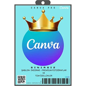 Pro Sınırsız - Kendi Mailinize Tanımlanır