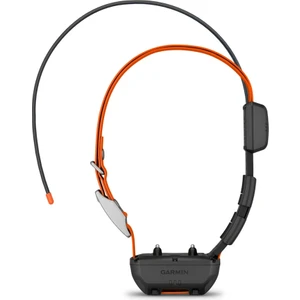 Alpha Tt 25 - Köpek Tasması