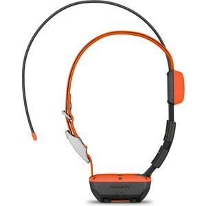 Alpha T 20 - Köpek Tasması