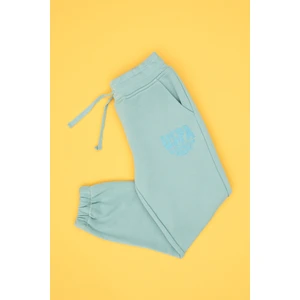 U.s. Polo Assn. Kız Çocuk Mint Eşofman Altı 50316849-VR090