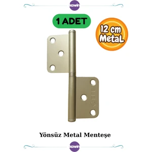 1 Adet 12cm Metal Çelik Kapı Menteşe Yönsüz 2mm Dayanıklı Panel Cerman Nikel Krom Gümüş