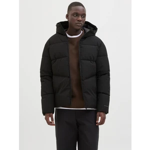 Jack Jones Jjglobal Puffer Jacket Erkek Siyah Mont 12283517-02
