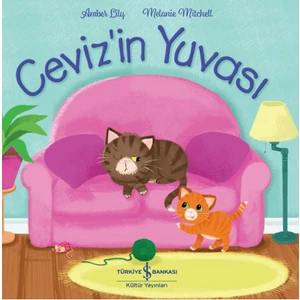 Ceviz'in Yuvası - Amber Lily