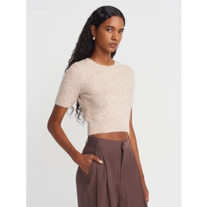 10651 Bisiklet Yaka Yumuşak Dokulu Kısa Kol Triko Kazak-Bej Melanj