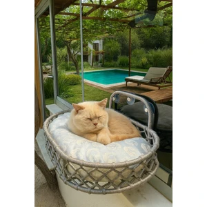 Kedi Cam Yatağı Güçlü Vantuzlu Pencere Önü Cam Yatağı