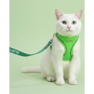 Lusi Doog Isme Özel Güvenlik Amaçlı Kaçış Önleyici Kedi Gezdirme Tasması Isimli Kedi Gezdirme Göğüs Tasma Seti