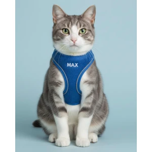 Kişiye Özel Kedi Gezdirme Tasması Airmesh Isimli Kedi Göğüs Tasması Esnek Kedi Tasması