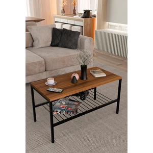 Metal Ayaklı Orta Sehpa,modern Salon Sehpası, Dekoratif Çay Kahve Sehpası, Alt Raflı Çok Amaçlı Masa