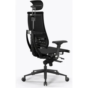 Metta Yoga Çalışma Koltuğu (12 YIL GARANTİ)