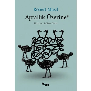 Aptallık Üzerine
